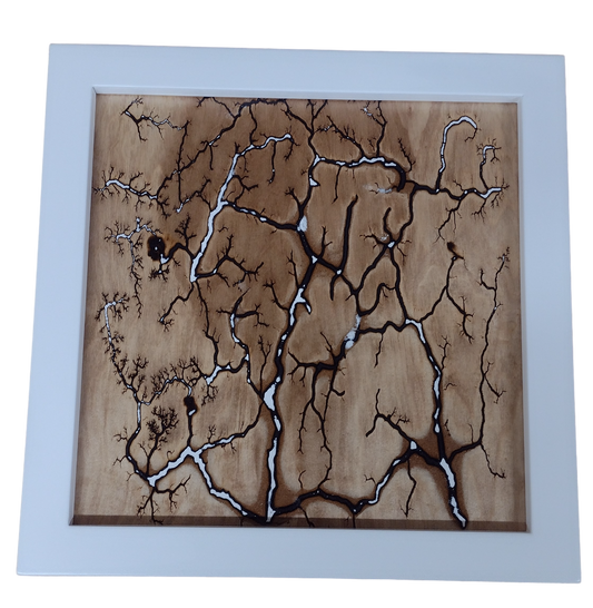 Fractal Burning Wall Art